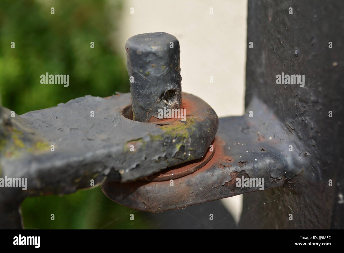 Schwarz lackiertem Metall top zur Festsetzung des Eisernen Tor Scharnier Nahaufnahme Detail von Verwitterten rusty Gelenk Scharnier Stockfoto