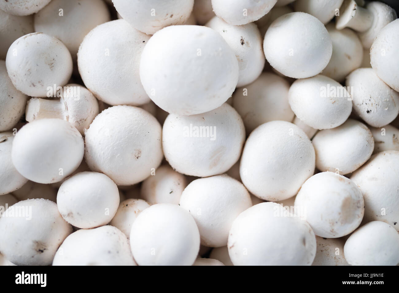 Nahaufnahme Bild Gruppe von frischen champignons Stockfoto