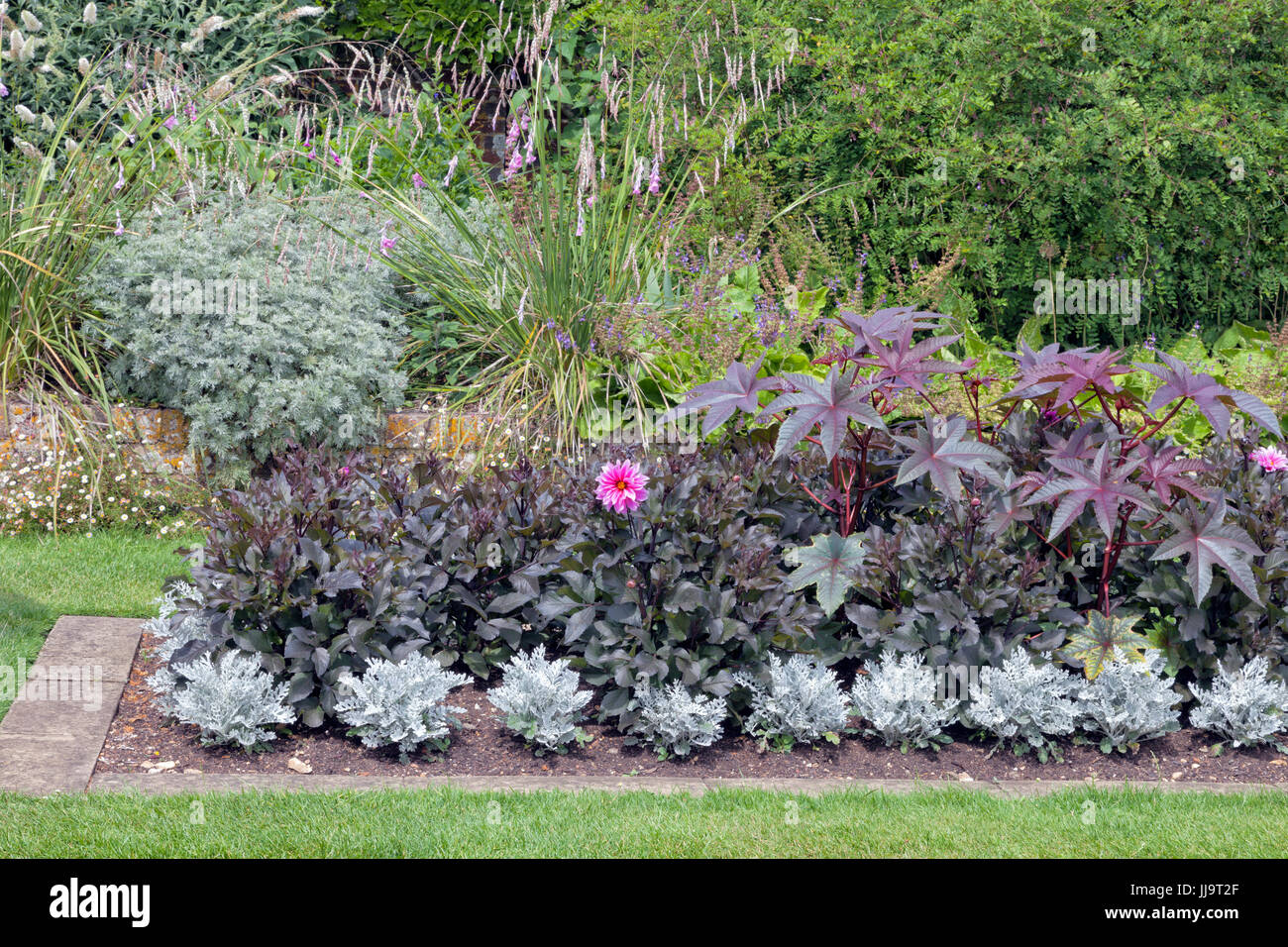 Blumen Hohe Graser Straucher In Einem Sommer Angelegten Garten