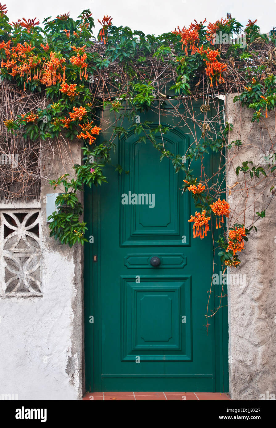 grüne Tür mit orangen Blüten auf Teneriffa, Kanarische Inseln Stockfoto
