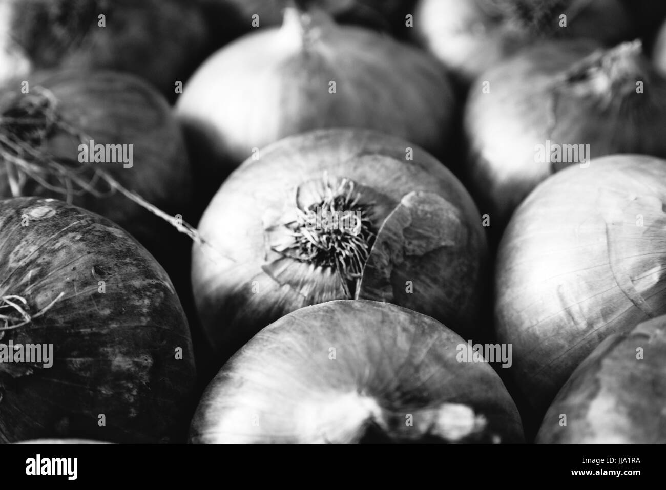 Frischen Zwiebeln auf dem Display an einem nahe gelegenen Markt. Stockfoto