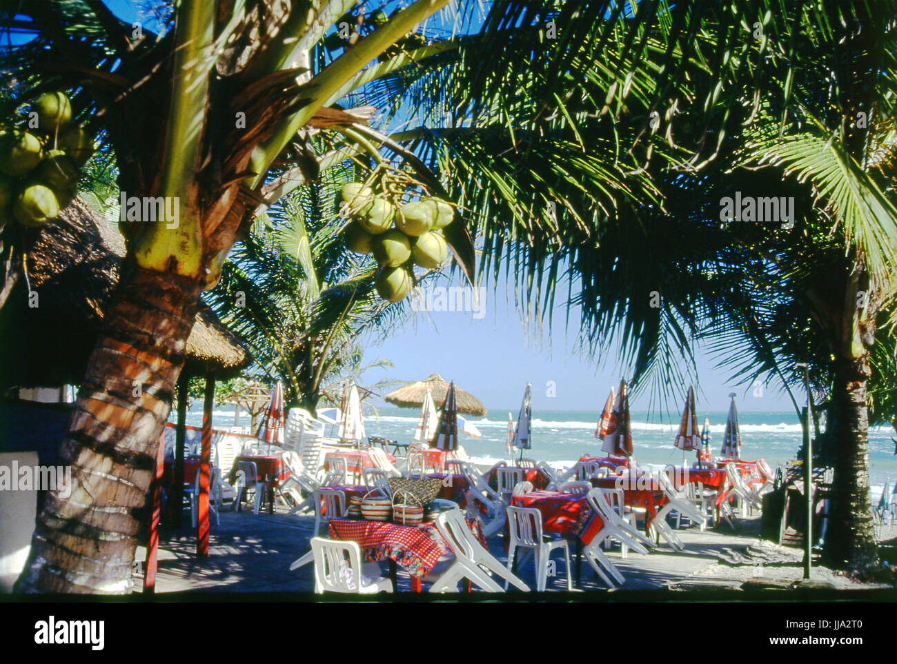 Praia Do Francês, Alagoas, Brasilien Stockfoto