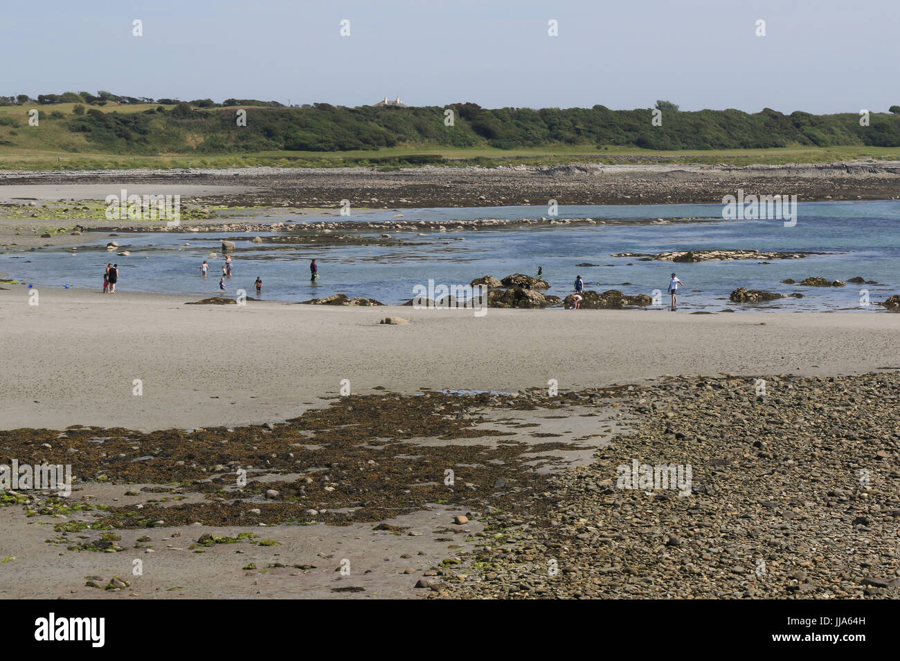 County Down, Nordirland, Vereinigtes Königreich. 18. Juli 2017. Ein weiterer Tag strahlender Sonnenschein und Temperaturen in der Mitte der zwanziger Jahre sah Menschenmassen strömen an ruhigen Stränden an der Küste Couny Down, wie diese in Coney Island. Coney Island ist bekannt aufgrund der Van Morrison-Song mit dem gleichen Titel und seine Verbindung mit dem Standort. Und die meisten Menschen genießen das schöne Wetter waren wahrscheinlich denken ja es wäre toll, wenn das Wetter immer so auf Coney Island war. Bildnachweis: David Hunter/Alamy Live-Nachrichten. Stockfoto