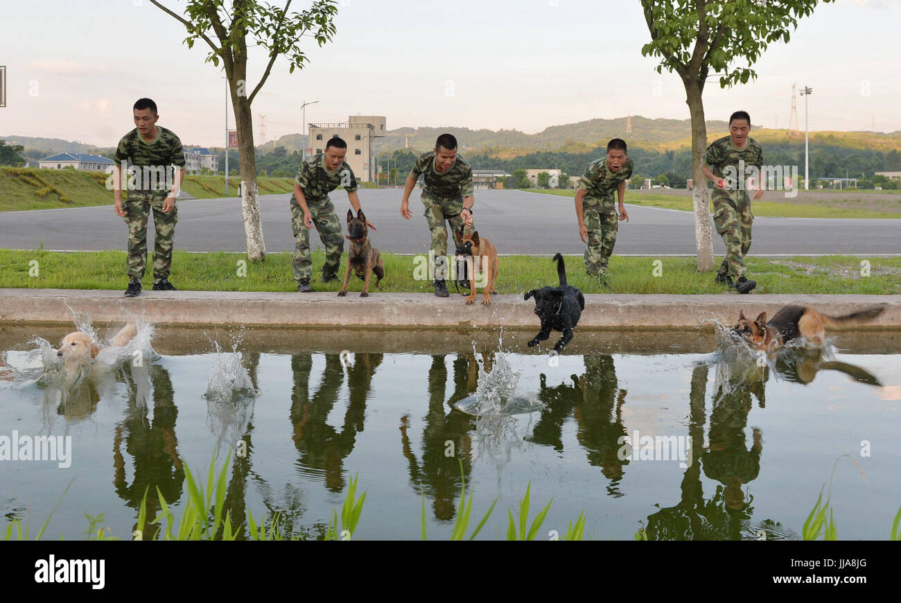 Chongqing. 19. Juli 2017. Polizeihunde werden zu einem Pool zum Abkühlen in Südwest-China Chongqing Stadtbezirk 19. Juli 2017 geführt. Trainer verwenden unterschiedliche Methoden, um die Hitze für Polizeihunde in Chongqing zu schlagen. Bildnachweis: Cao Feng/Xinhua/Alamy Live-Nachrichten Stockfoto