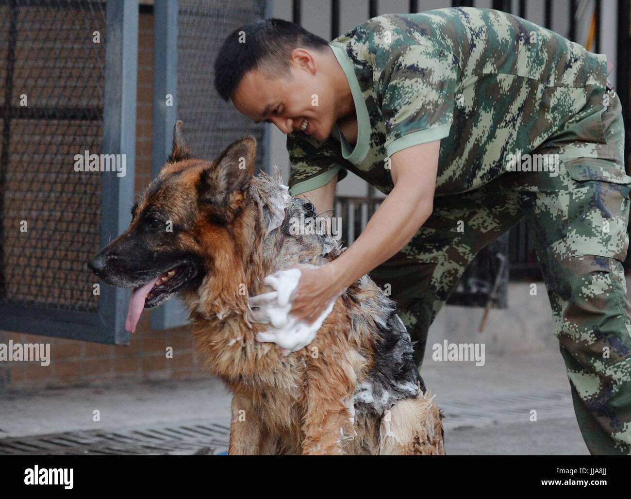 Chongqing. 19. Juli 2017. Ein Trainer Bäder einen Polizeihund in Südwest-China Chongqing Stadtbezirk 19. Juli 2017 auskühlen lassen. Trainer verwenden unterschiedliche Methoden, um die Hitze für Polizeihunde in Chongqing zu schlagen. Bildnachweis: Cao Feng/Xinhua/Alamy Live-Nachrichten Stockfoto