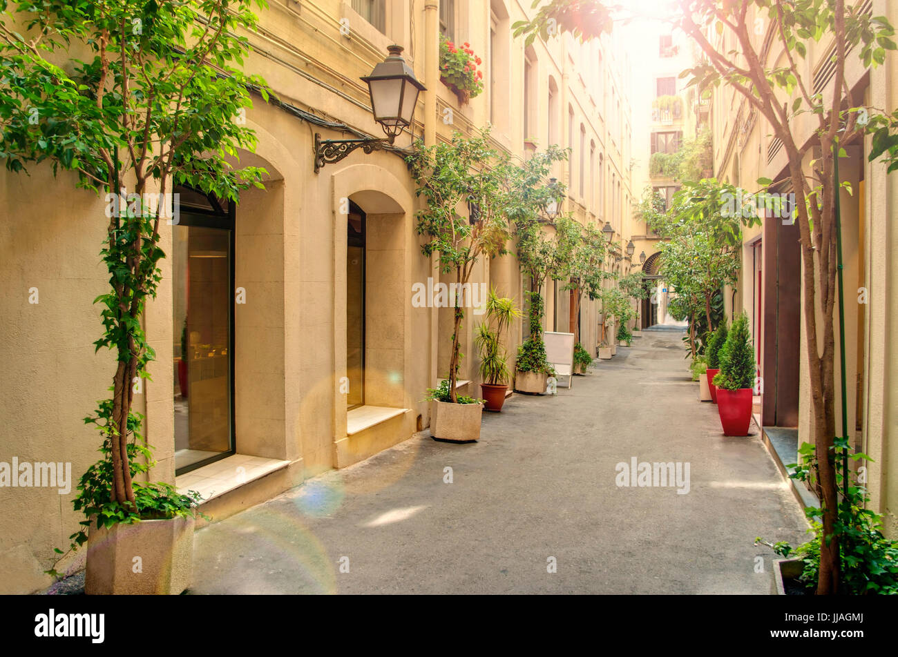 schmale Straße Spanisch mit Pflanzen in Töpfen an sonnigen Sommertag, Barcelona, Katalonien, Spanien Stockfoto