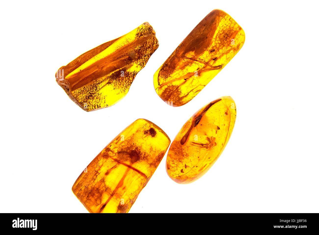 Exponate aus dem Bernsteinmuseum, Insekten in Bernstein, Palanga, Litauen eingefroren. Stockfoto
