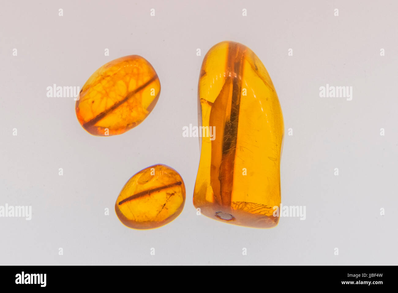 Exponate aus dem Bernsteinmuseum, Insekten in Bernstein, Palanga, Litauen eingefroren. Stockfoto