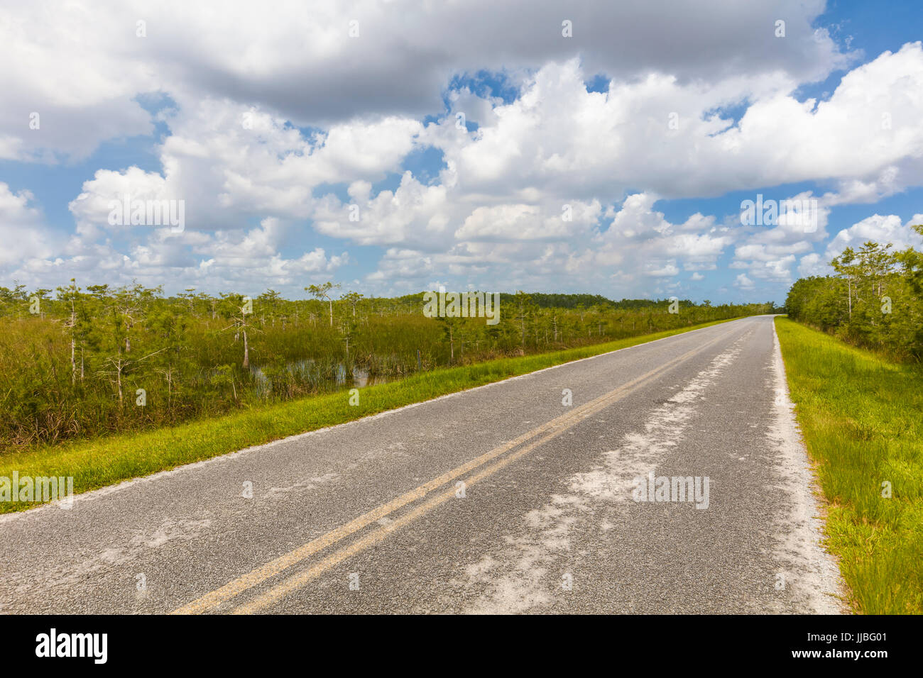 Main Park Road State Route 9336 von Homestead Eingang, Flamigo in Florida Everglades Nationalpark Stockfoto