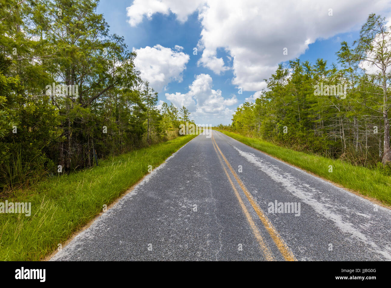 Main Park Road State Route 9336 von Homestead Eingang, Flamigo in Florida Everglades Nationalpark Stockfoto