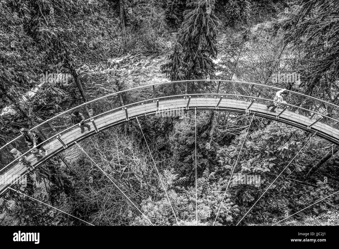 Wandern Wanderwege Throgh Capilano Bridge Park in den kanadischen Wäldern - CAPILANO - Kanada - 12. April 2017 Stockfoto