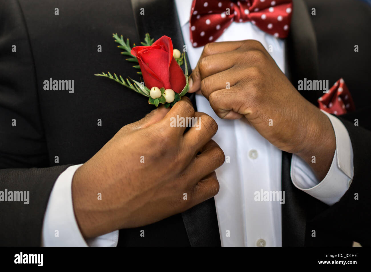 Teen nagelt seine rose Boutonniere zum formellen Anzug immer angezogen und bereit für Abschlussball. Stockfoto