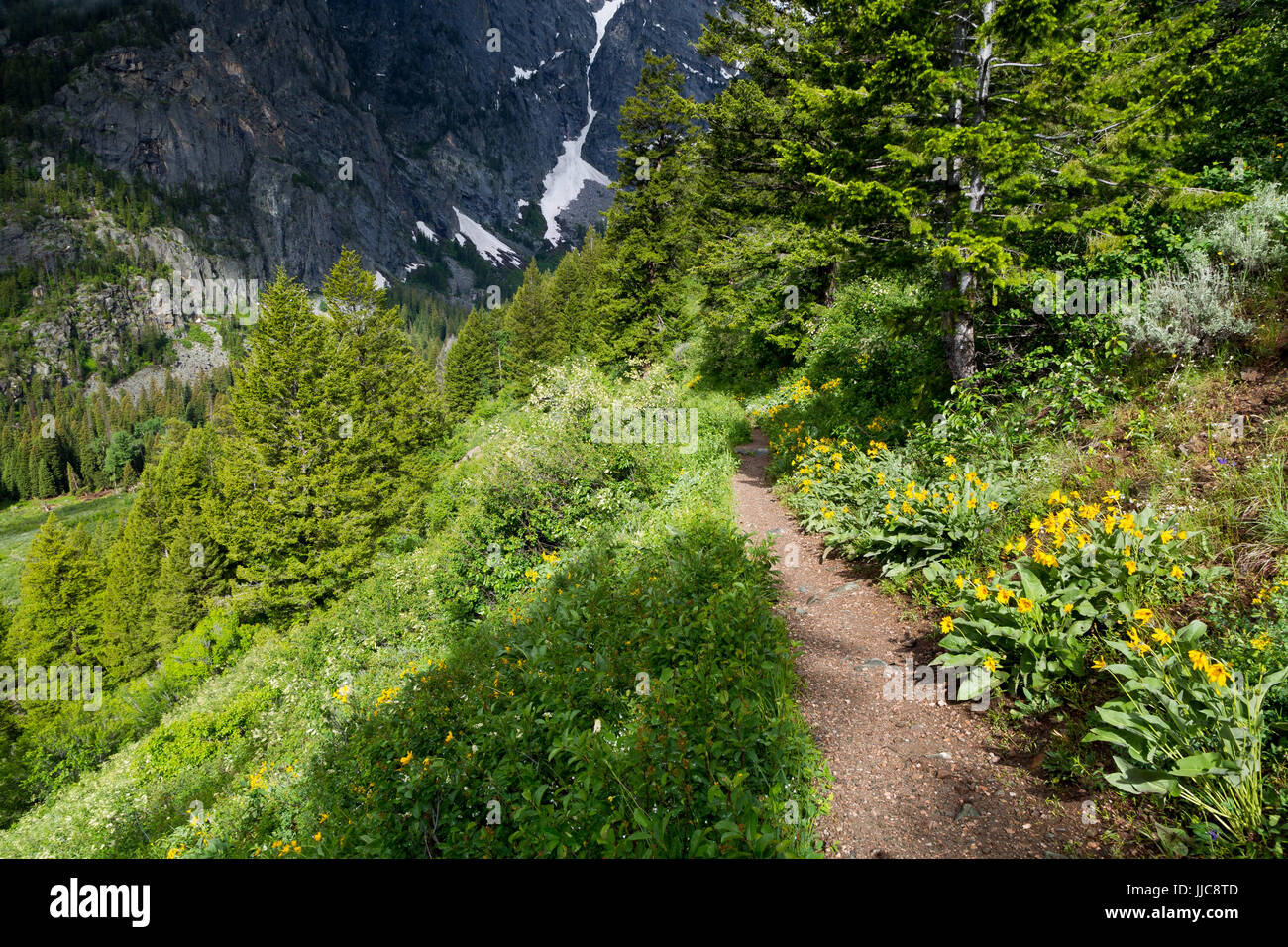 Dem Tod Canyon Trail als es geht über Phelps See auf dem Weg in Richtung der Mündung des Canyons. Grand Teton Nationalpark, Wyoming Stockfoto