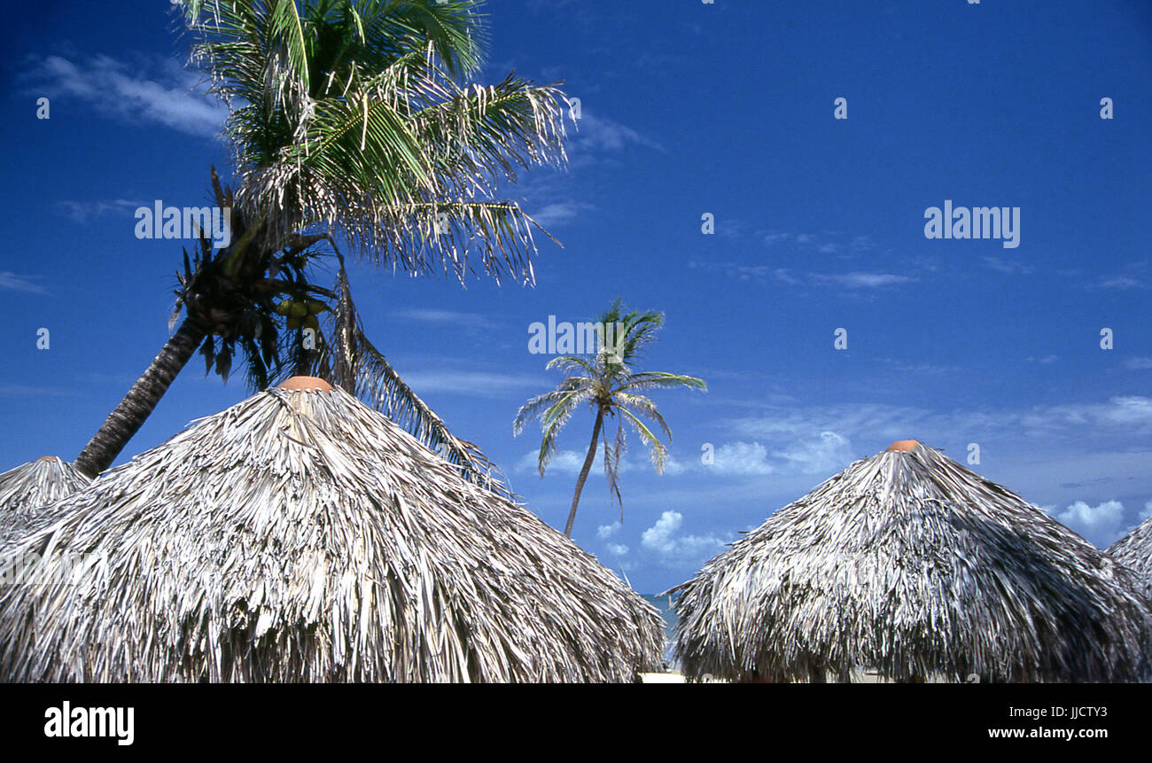 Praia Do Futuro, Ceará, Brasilien Stockfoto