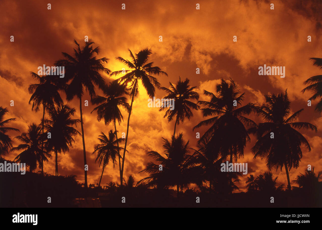 Der Strand von Itamaracá, Pernambuco, Brasilien. Stockfoto