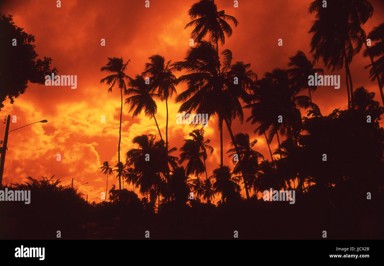 São José da Coroa Grande Strand, Pernambuco, Brasilien Stockfoto