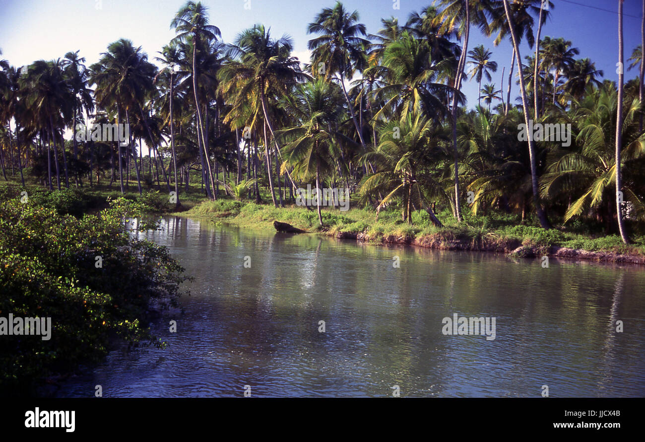 São José da Coroa Grande Strand, Pernambuco, Brasilien Stockfoto