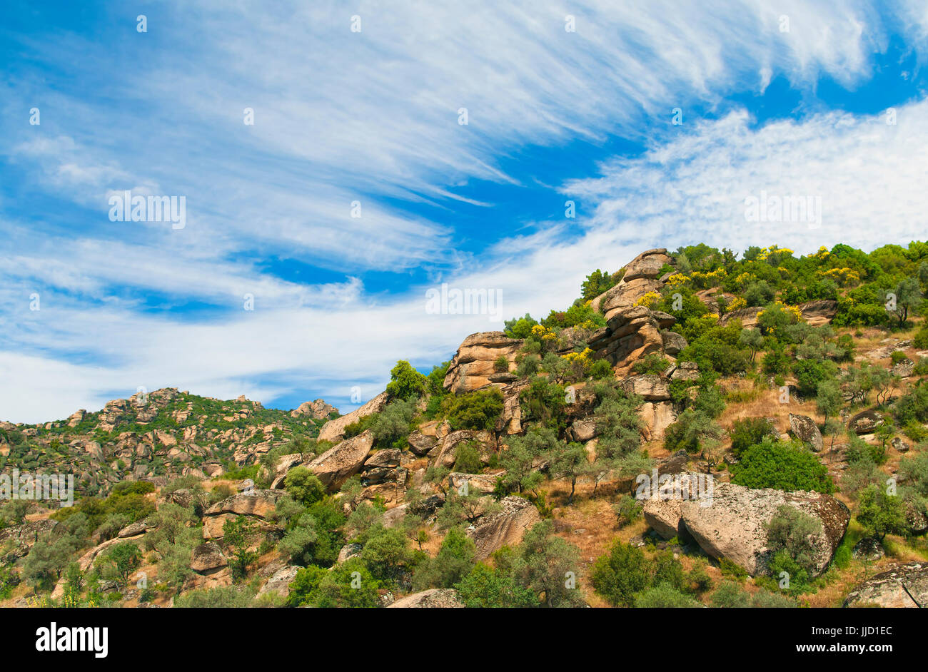 Grosse Felsen und Bäume mit gelben Blumen an der Seite des Berges, auf sonnigen Tag gegen den schönen blauen Himmel mit Wolken in der Türkei Stockfoto