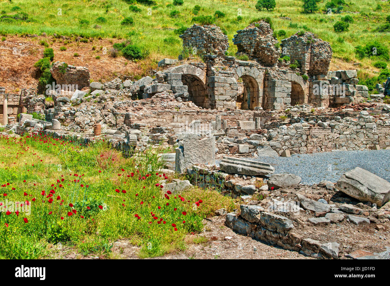 Antike römische Ruinen von Ephesus mit roten Mohn Blumen im Vordergrund auf sonnigen Tag, Türkei Stockfoto