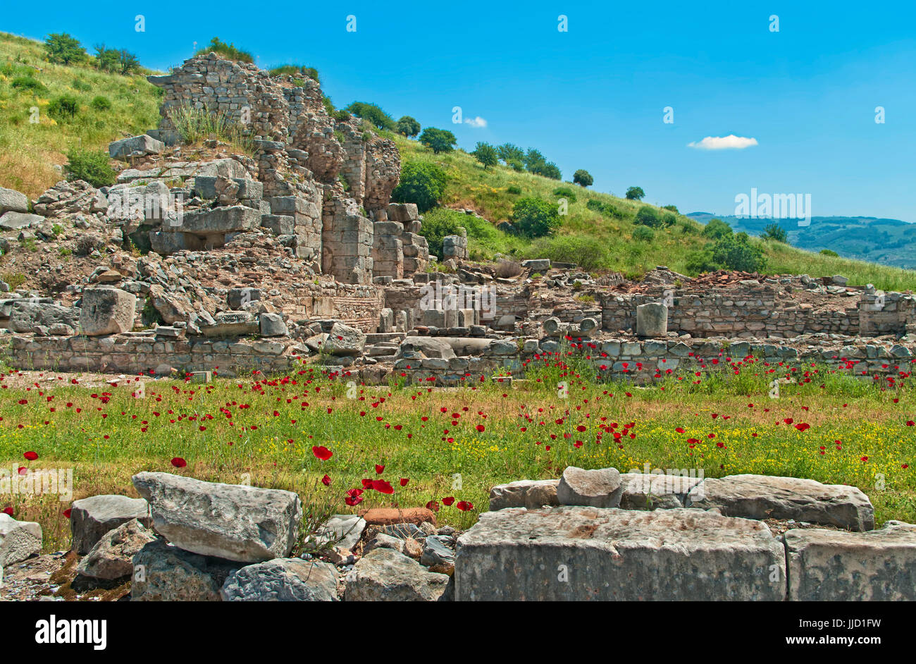 Ruinen von Ephesus mit roten Mohn Blumen und Steinen im Vordergrund an sonnigen Tag, Türkei Stockfoto