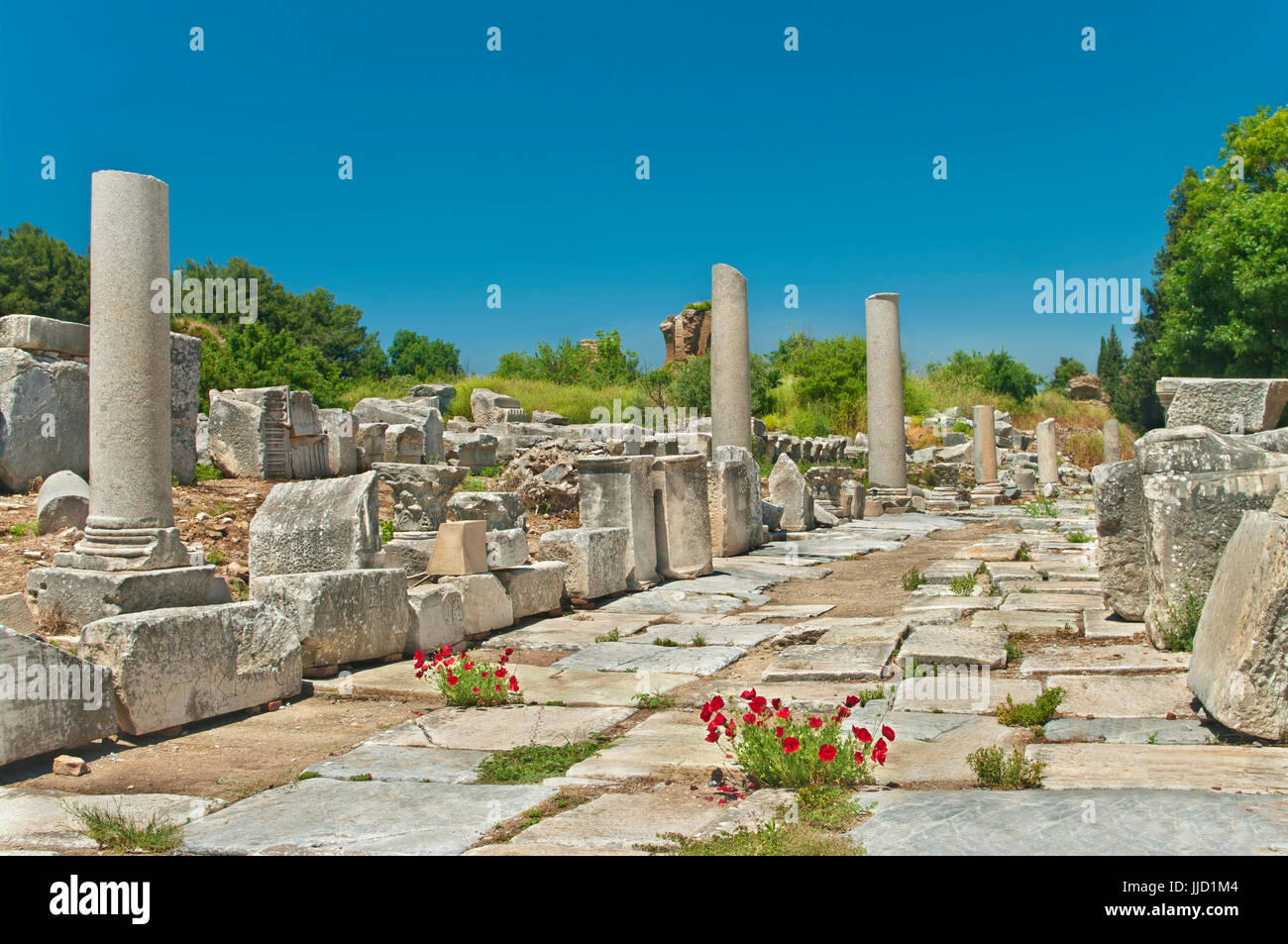 Ruinen der antiken griechischen Gasse mit roten Mohn Blumen blühen zwischen den Fliesen in Ephesus, Türkei Stockfoto