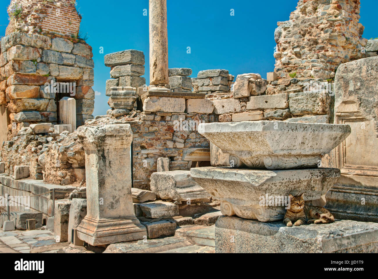 streunende Katze liegend im Schatten auf den antiken Ruinen von Ephesus an sonnigen Tag, Türkei Stockfoto