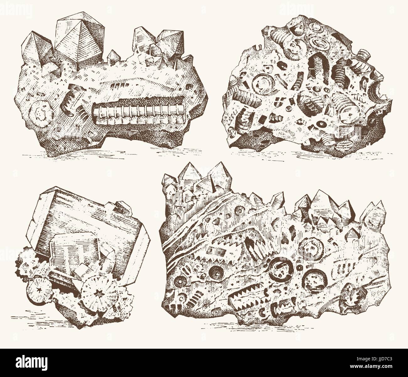 Versteinerte Pflanzen, Steinen und Mineralien, Kristalle, Urzeittiere, Archäologie oder Paläontologie. Fragment-Fossilien. gravierte handgezeichnete im alten Skizze und Vintage-Stil. Stock Vektor