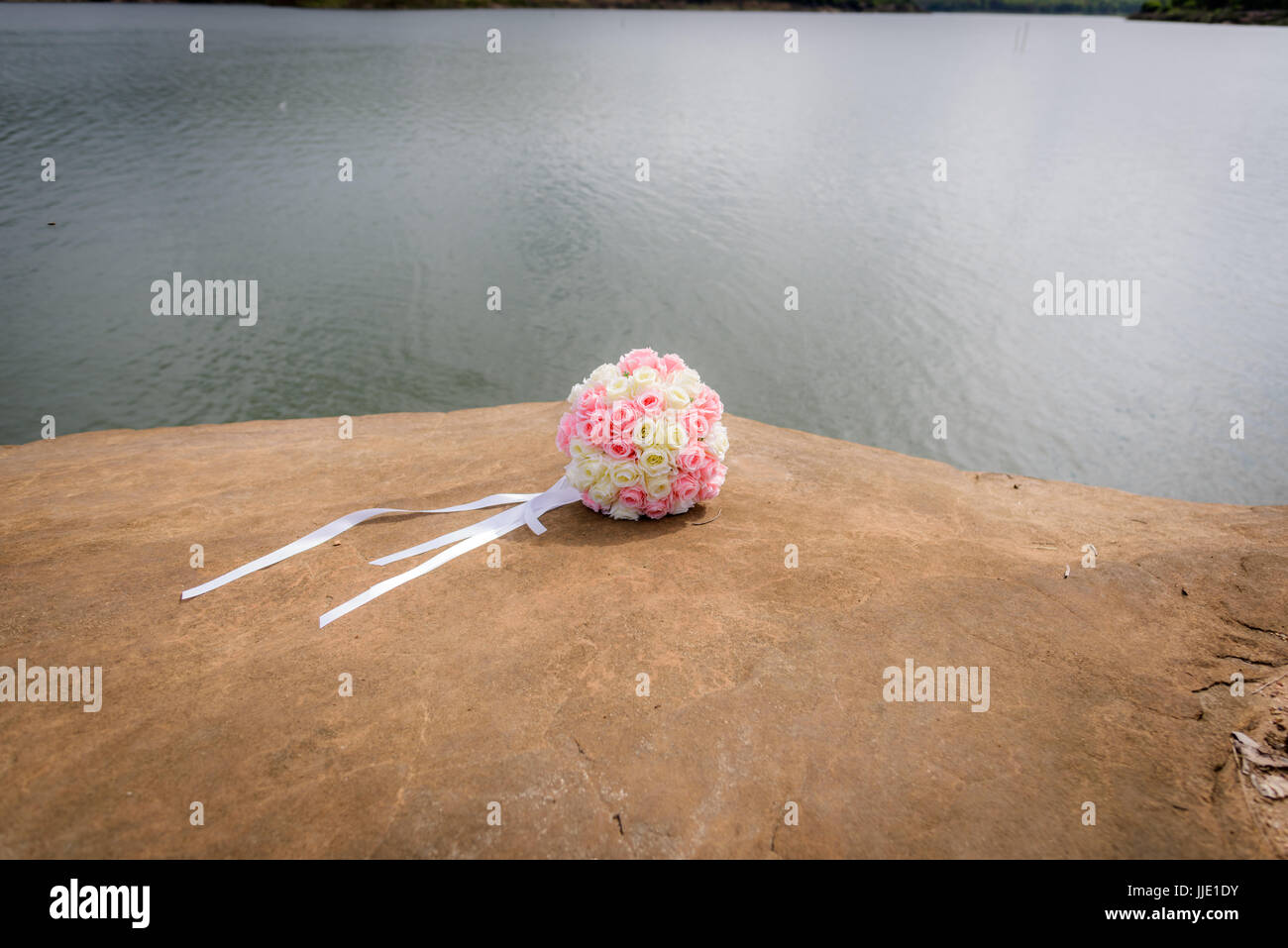 Strauß auf einem Felsen in der Nähe des Flusses. Stockfoto