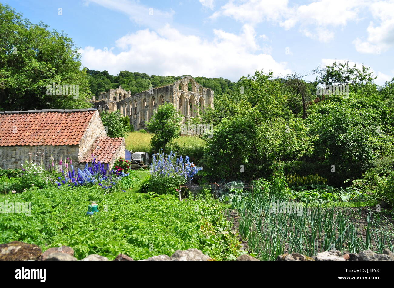 Rievaulx Abtei Stockfoto