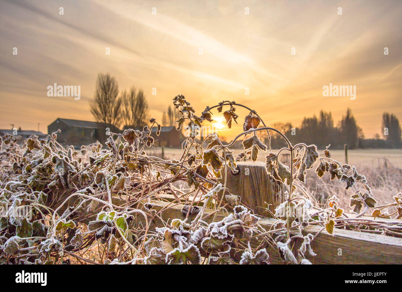 Frostiger Morgen, Methley Stockfoto