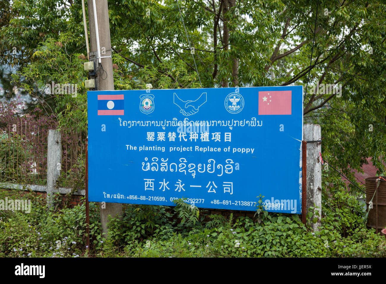 Ein Zeichen Werbung eines landwirtschaftlichen Regierungsprogramms Mohnfelder zu ersetzen (und Opium-Produktion zu entmutigen) in hat, Hauptstadt der Provinz hat, Laos. Stockfoto