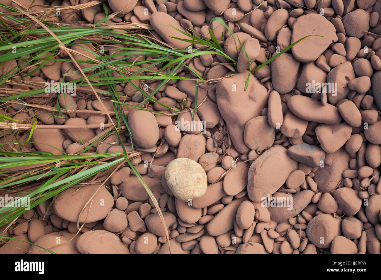 Felsen sind im Schlamm abgelagert, von den saisonalen Überschwemmungen des Flusses Nam Ou in Phou Den Din National Protected Area, Laos beschichtet. Dämme stören die natürlichen Flut Zyklus reguliert den Wasserstand der Stauseen, die sie bilden. Stockfoto