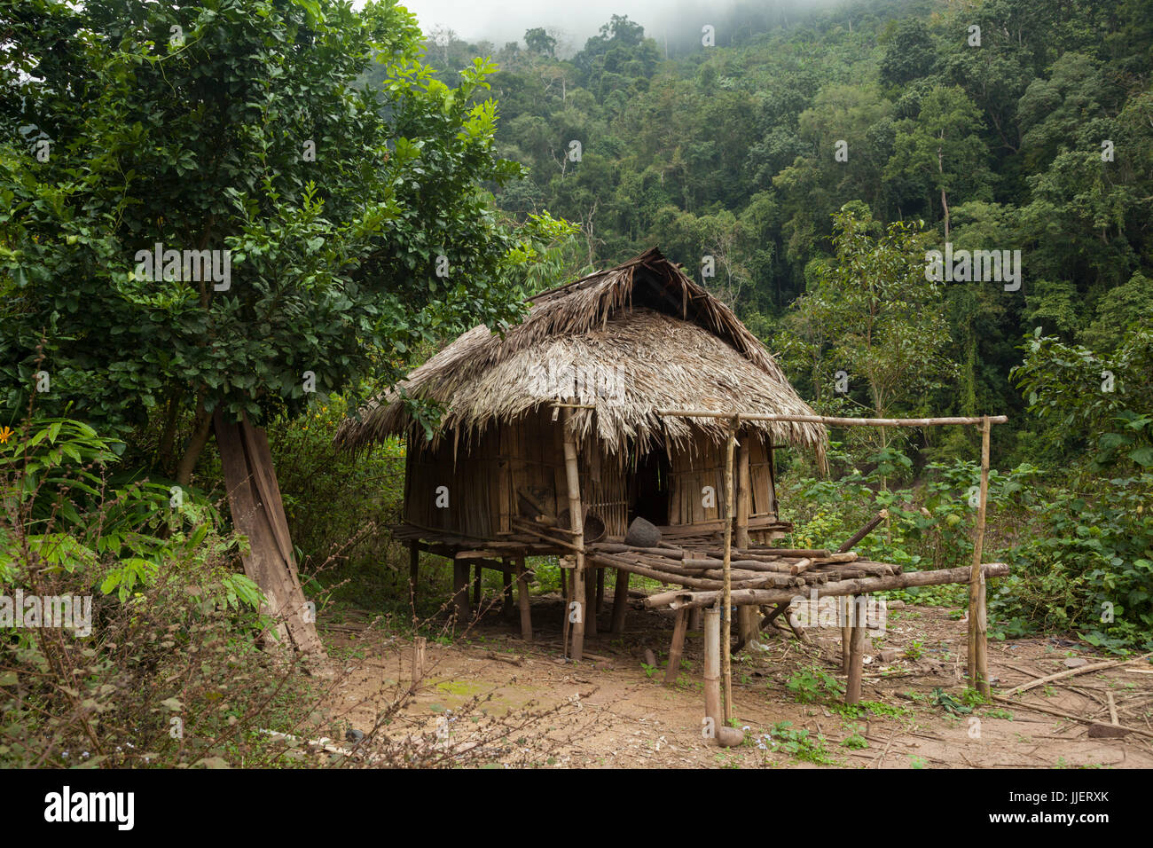 Eine scheinbar verlassene traditionelle Bambus und Strohdach Hütte auf Stelzen (zum Schutz vor Schlamm und während der Regenzeit überflutet) in Phou Den Din National Protected Area, Laos. Stockfoto