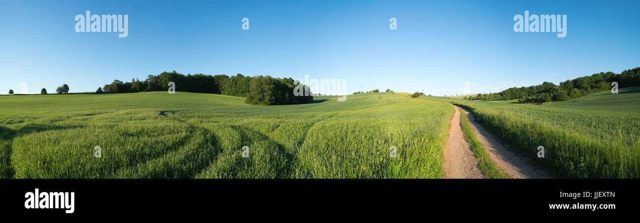 Panorama Sommer grüne Feld Landschaft mit Feldweg Stockfoto