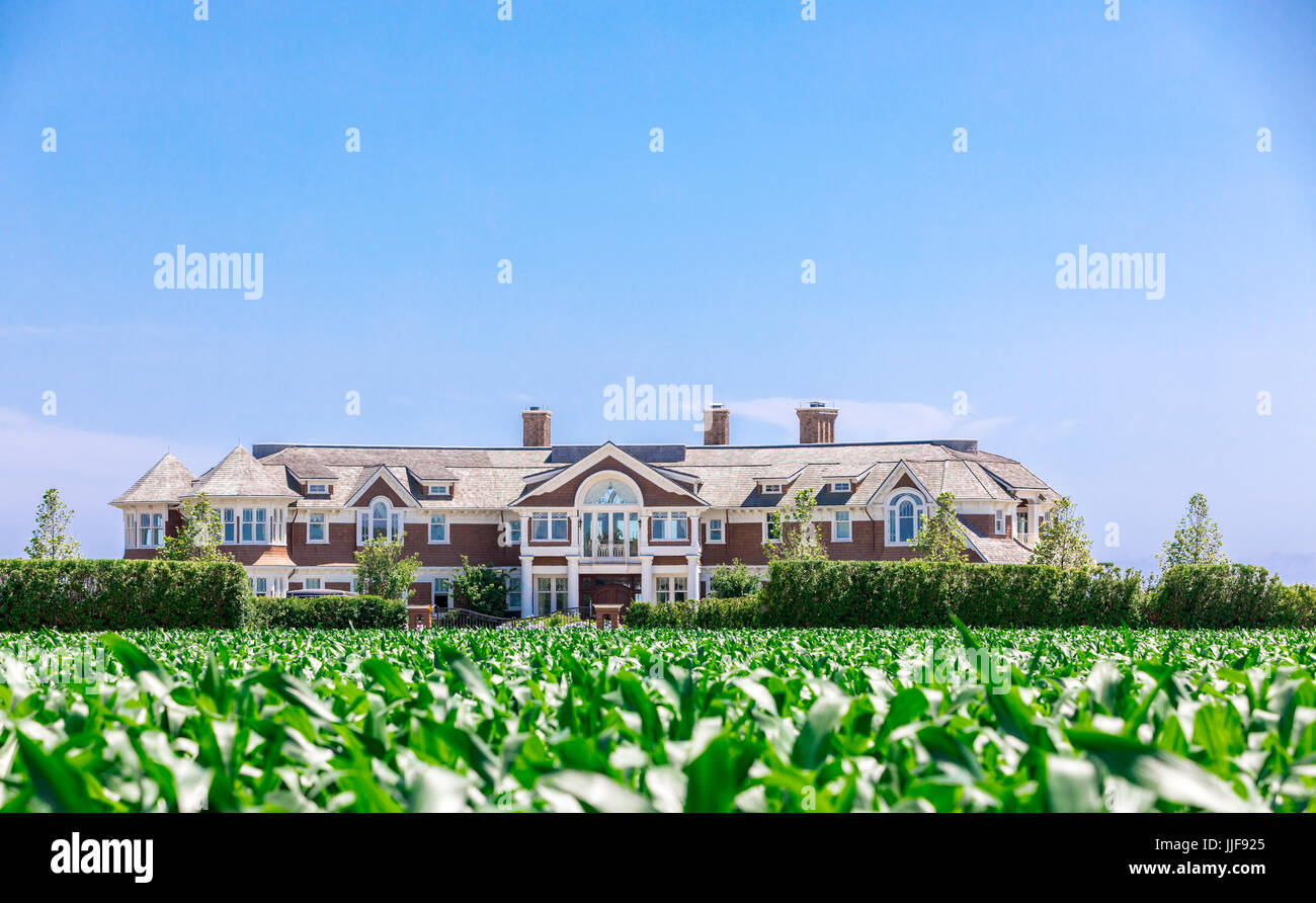 riesiges Hamptons Anwesen mit einem Kornfeld davor, Sagaponack ny Stockfoto