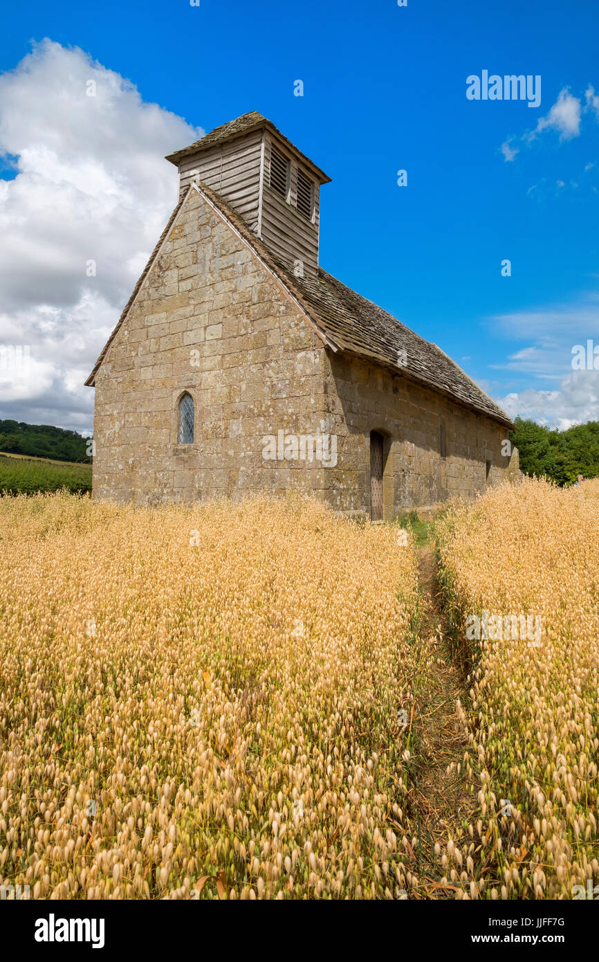 Langley Kapelle sitzt in einem Mais Feld, Langley, Shropshire, England, UK Stockfoto