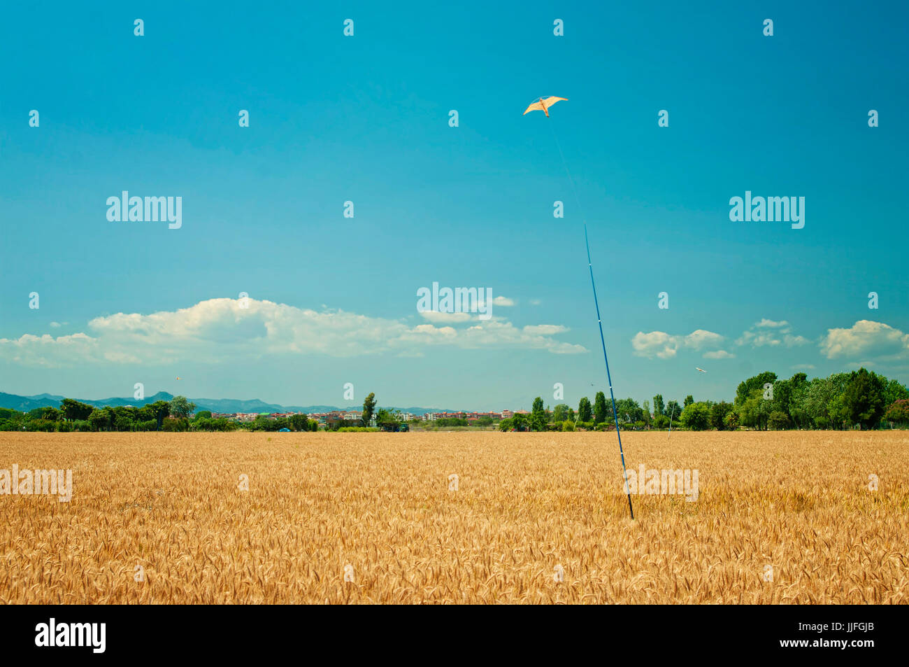 Vogel geformt Taube erschrecken Kite am Pol auf Feld-Hof in El Prat an sonnigen Sommertag, Barcelona, Spanien Stockfoto