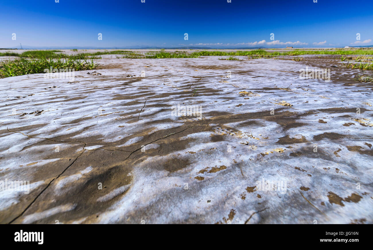 Meer, Sand bedeckt in dünnen Schicht Salz bei Ebbe Stockfoto