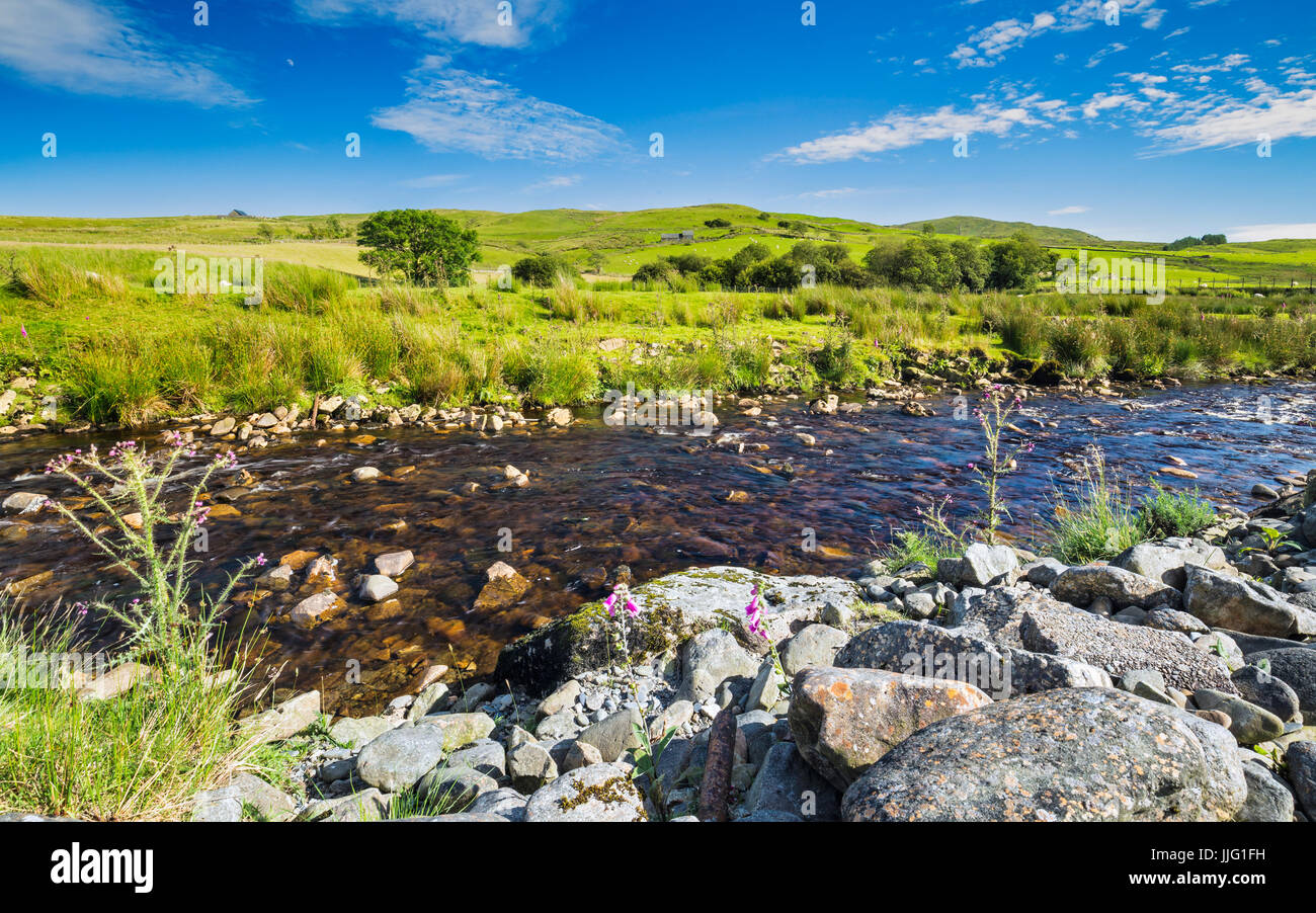 Seichten Fluss über grüne Weiden Hügeln von Snowdonia in Wales Stockfoto