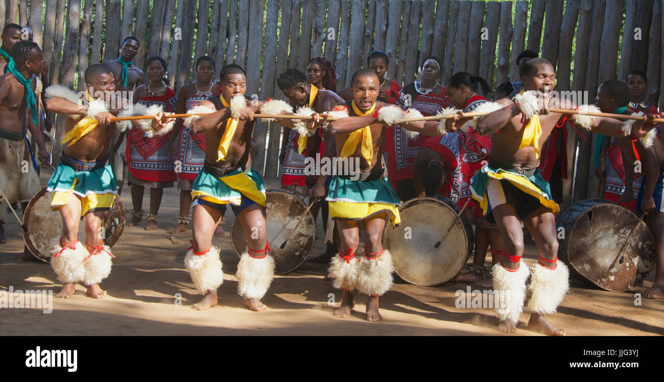Vier Männer, die Durchführung von traditionellen tanzen Mantenga kulturelle Dorf Swasiland Südafrika Stockfoto