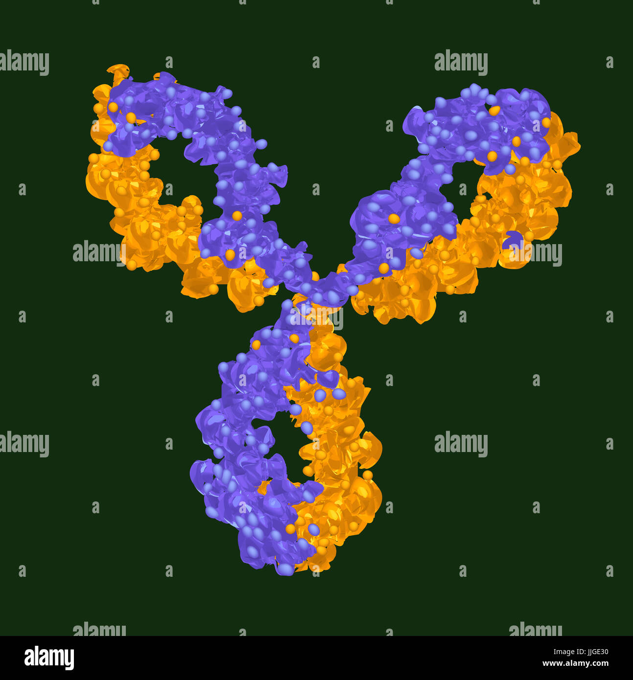grafische Darstellung der medizinischen Wissenschaft Antikörper isoliert Hintergrund Stockfoto