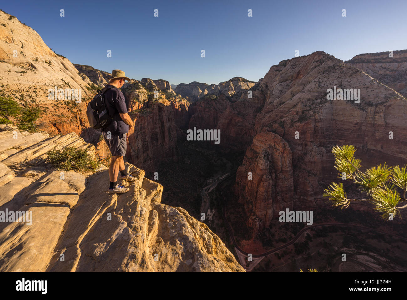 Wanderer, Blick auf den Zion Canyon, Zion Nationalpark, Utah, Amerika, USA Stockfoto