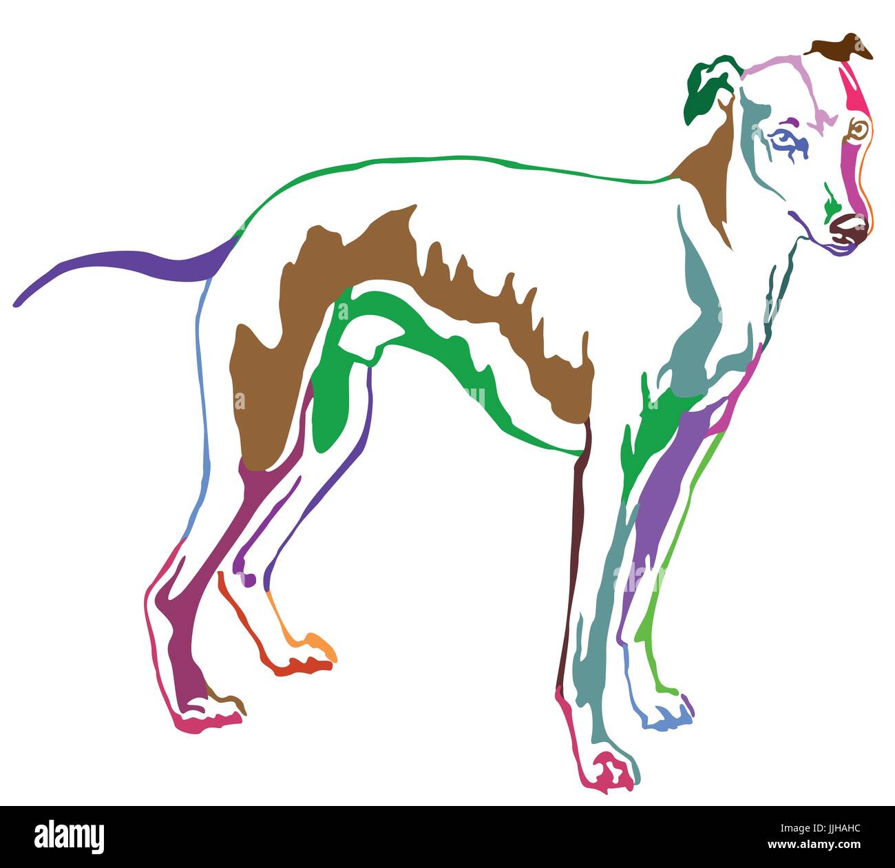 Dekoratives Porträt von stehen im Profil Hund Whippet (Anblick Bracke), Vektor-isolierte Illustration in Regenbogenfarben auf weißem Hintergrund Stock Vektor