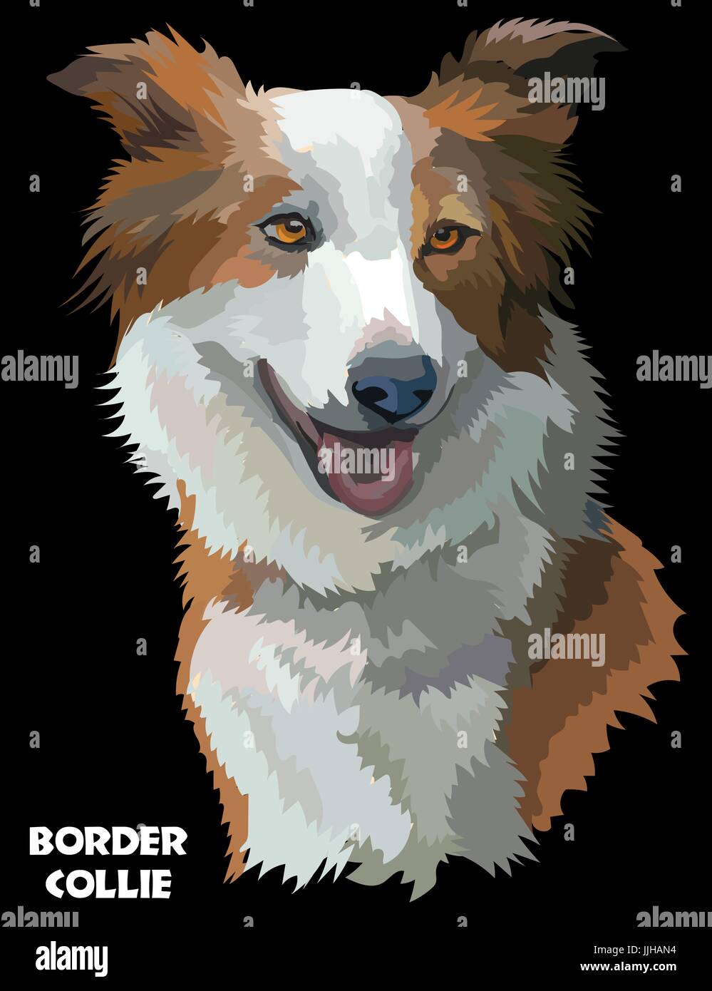 Farbige Border Collie isoliert Vektor Porträt auf schwarzem Hintergrund Stock Vektor