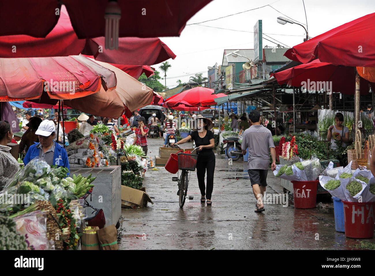 Am frühen Morgen Blume Markt Szene in Hanoi Vietnam Stockfoto