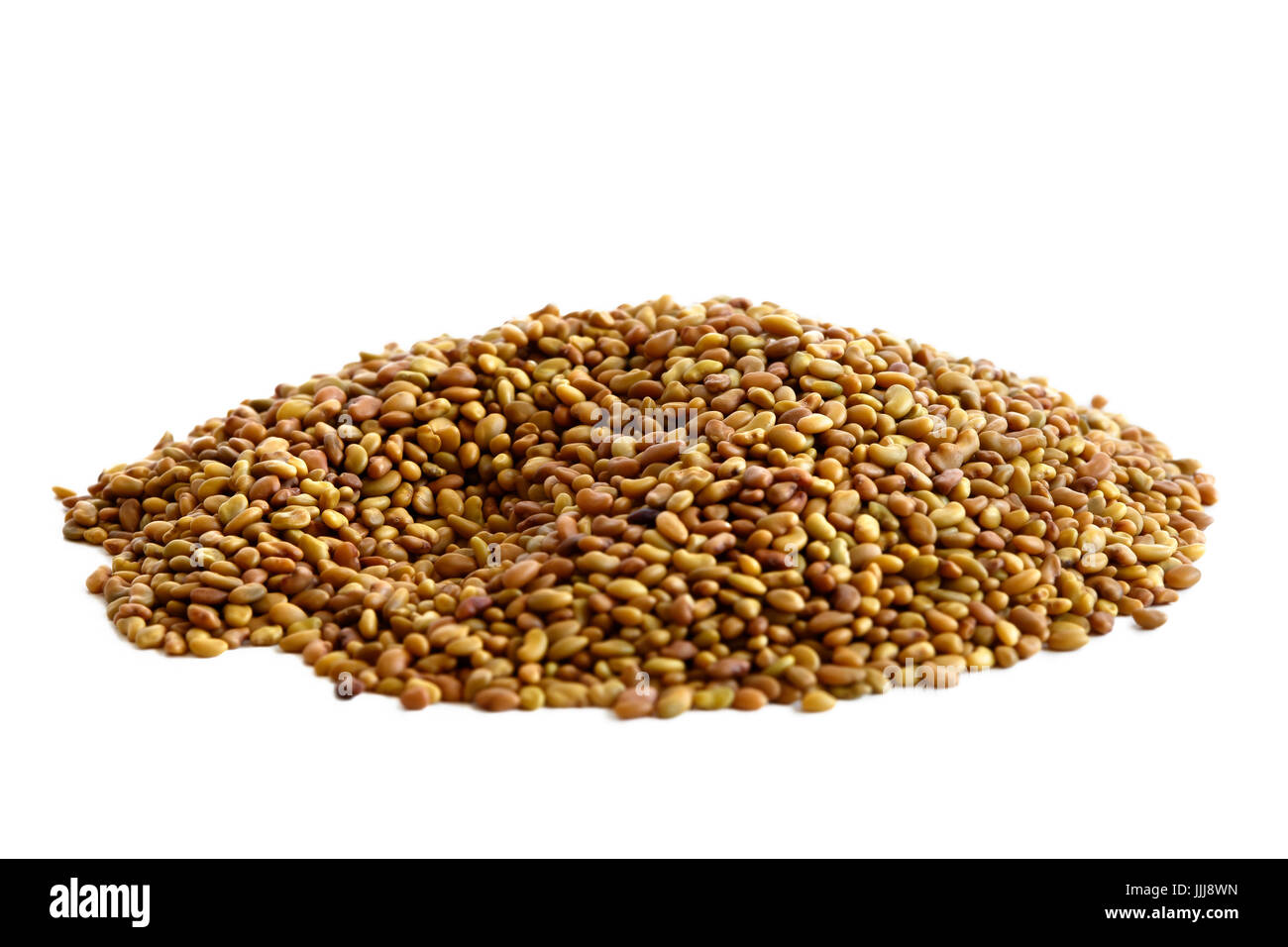 Haufen von Luzerne-Samen isoliert auf weiss. Stockfoto