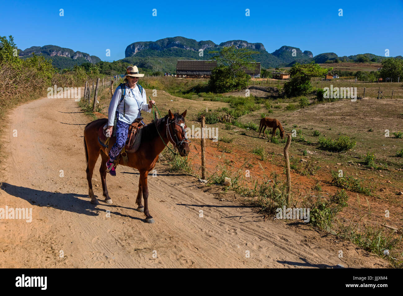 Christine Kolisch Touren Tabak Land in die reiche landwirtschaftliche Nutzflächen im Vinales Tal - VINALES, Kuba Stockfoto