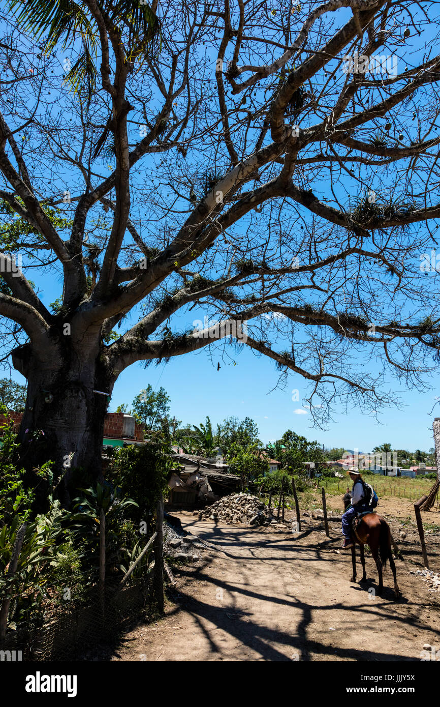 Christine Kolisch Touren Tabak Land in die reiche landwirtschaftliche Nutzflächen von Vale de Silencio - VINALES, Kuba Stockfoto