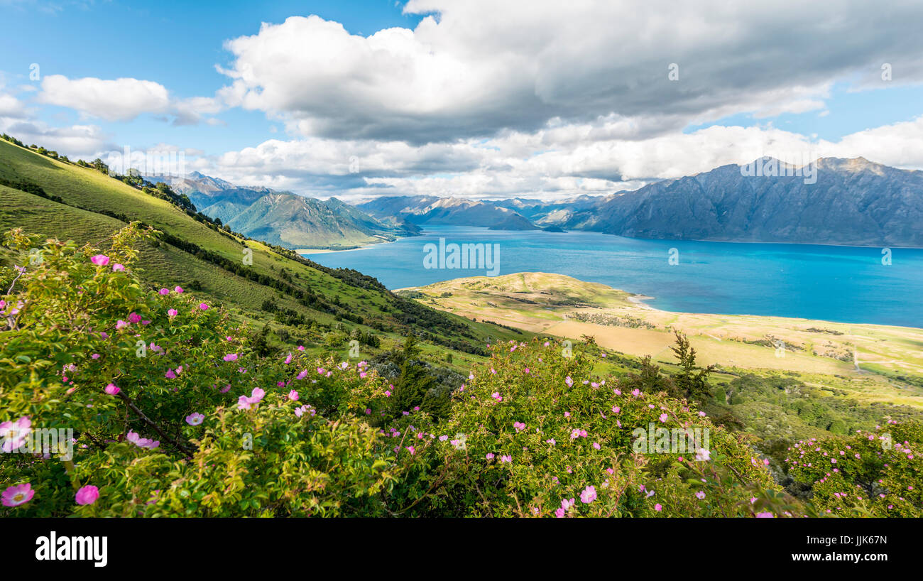 Blick auf See in Berglandschaft, Lake Hawea, Otago, Südinsel, Neuseeland Stockfoto