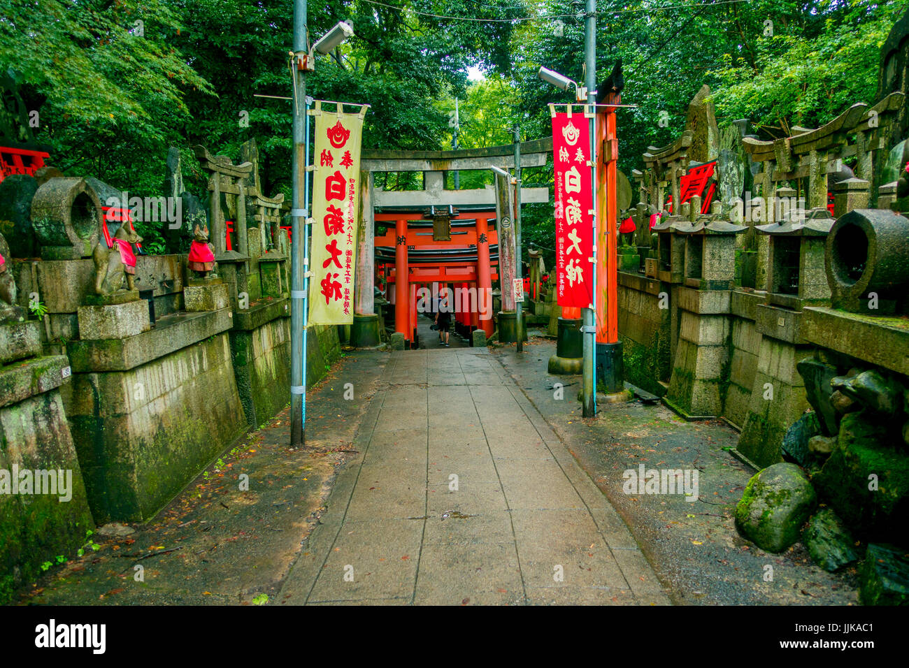 KYOTO, JAPAN - 5. Juli 2017: Stoned Pfad mit Fox Steinstatue auf jeder Seite in Fushimi Inari Schrein Fushimi Inari-Taisha-Tempel in Japan. Stockfoto